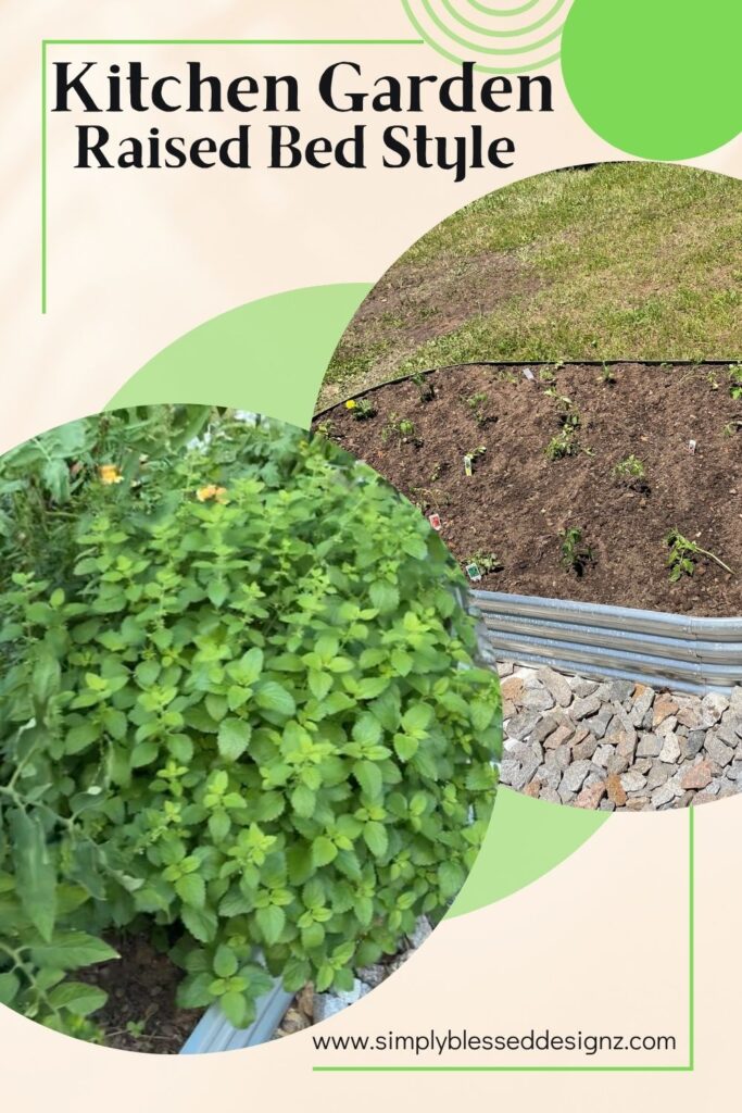Easy raised bed gardening tips + our favorite kitchen crops
